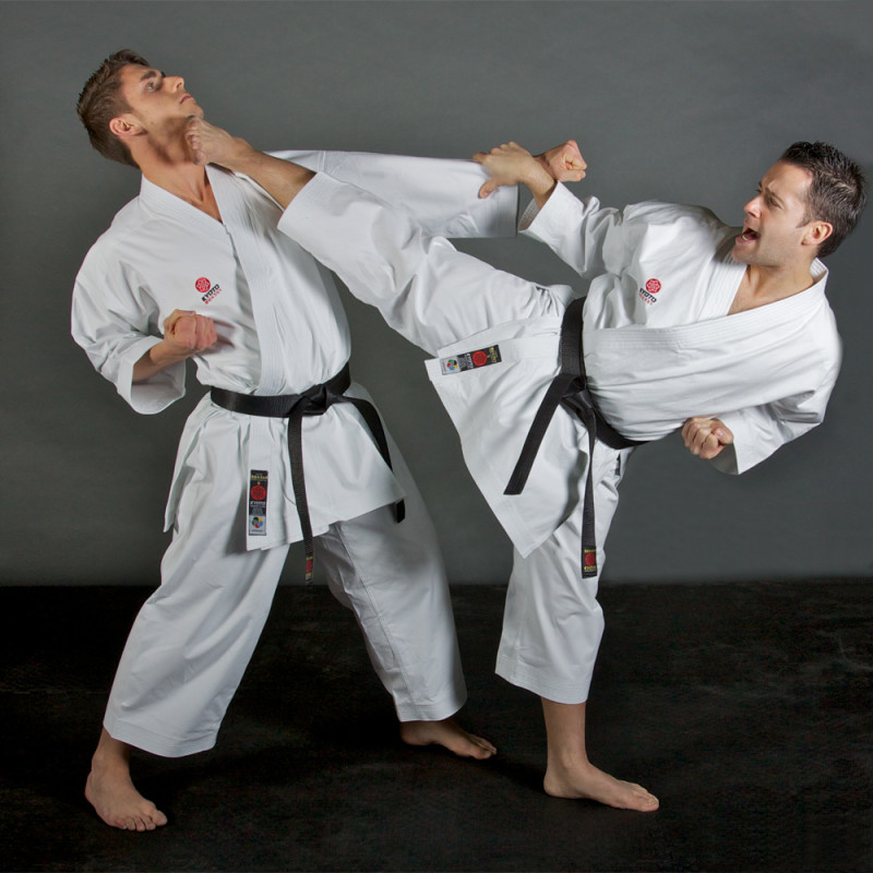 Taekwondo vs karate menang mana
