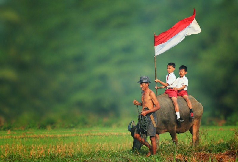 negara kesatuan republik indonesia - utama