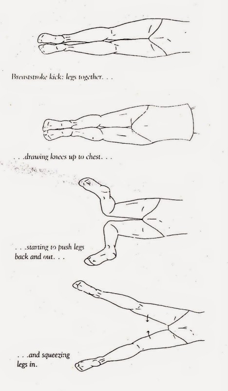renang gaya dada - gerakan kaki