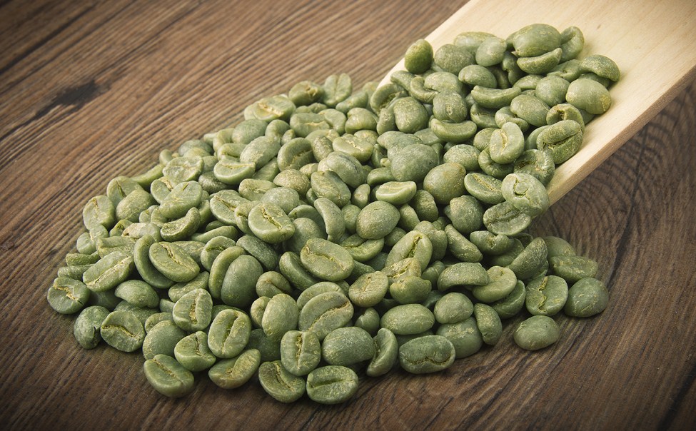 jual kopi hijau green coffe berbentuk biji dengan kandungan antioksidan